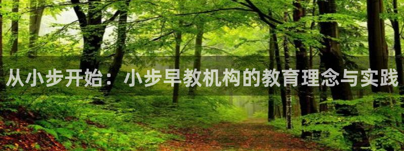 恒行娱乐老板推荐5ll533主管：从小步开始：小步早教机构的教育理念与实践