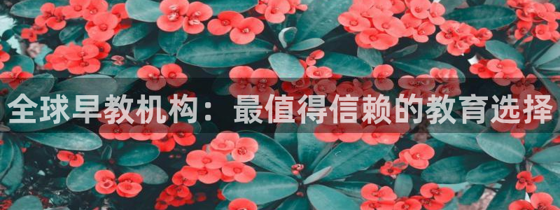 恒行2下74OOO5：全球早教机构：最值得信赖的教育选择