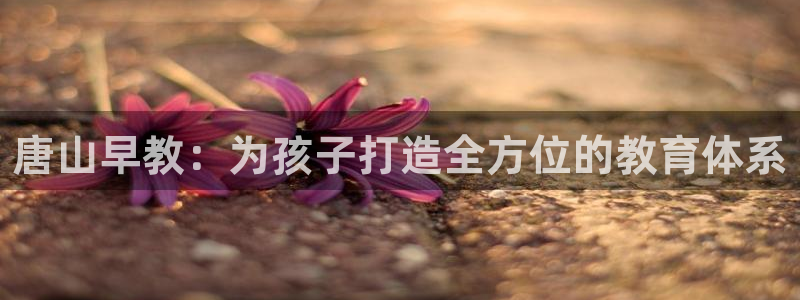 恒行2下74OO5:唐山早教:为孩子打造全方位的教育体系