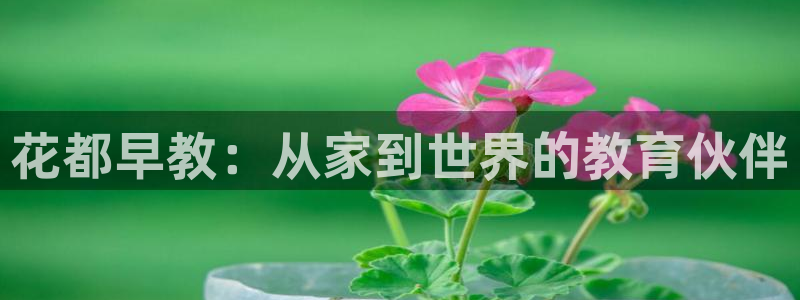 恒行娱乐寻问74 5：花都早教：从家到世界的教育伙伴