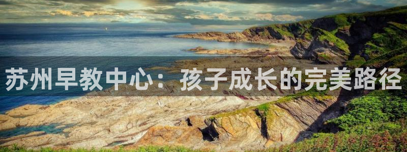 恒行2冯74OOO5：苏州早教中心：孩子成长的完美路径