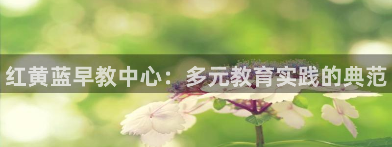 恒行登录老大6ll5l典型：红黄蓝早教中心：多元教育实践的典范