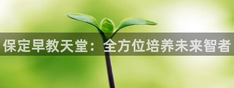 恒行2沈74OOO5:保定早教天堂:全方位培养未来智者