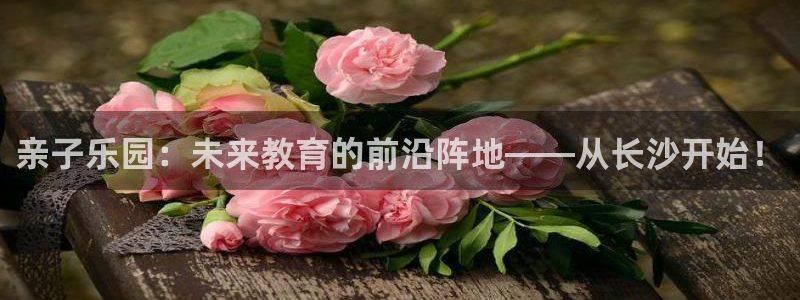 恒行2吕74OOO5：亲子乐园：未来教育的前沿阵地——从长沙开始！