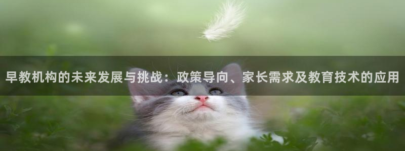 恒行3乃5O6917：早教机构的未来发展与挑战：政策导向、家长需求及教育技术的应