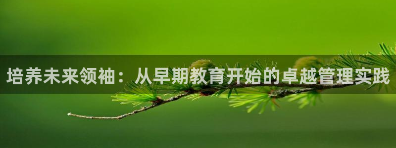 恒行2下74OO5：培养未来领袖：从早期教育开始的卓越管理实践