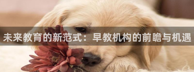 恒行娱乐招收点赞5ll533主管：未来教育的新范式：早教机构的前瞻与机遇