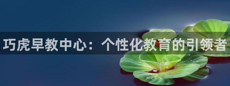 恒行主管首问6ll5l：巧虎早教中心：个性化教育的引领者