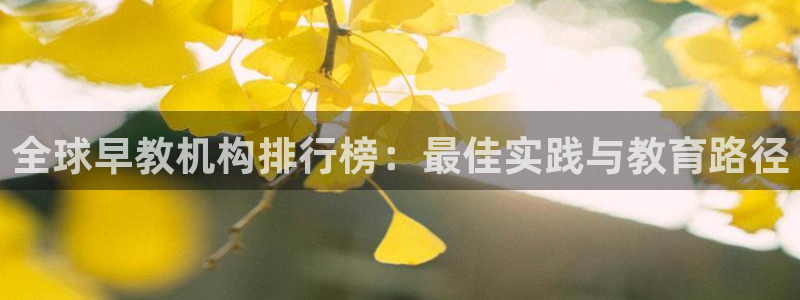 恒行登录老大6ll5l典型:全球早教机构排行榜:最佳实践与教育路径