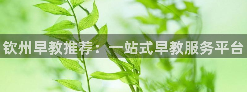 恒行2朱74OOO5:钦州早教推荐:一站式早教服务平台