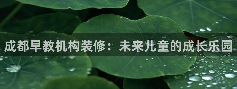 恒行主管总代6ll5l周至：成都早教机构装修：未来儿童的成长乐园