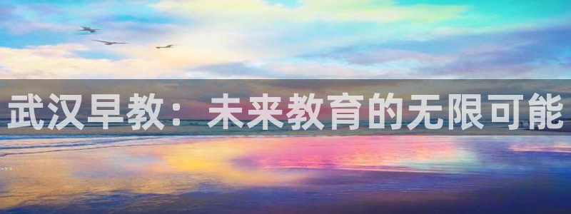 恒行2周74OOO5：武汉早教：未来教育的无限可能