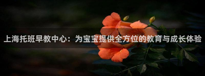 恒行2地74OOO5：上海托班早教中心：为宝宝提供全方位的教育与成长体验