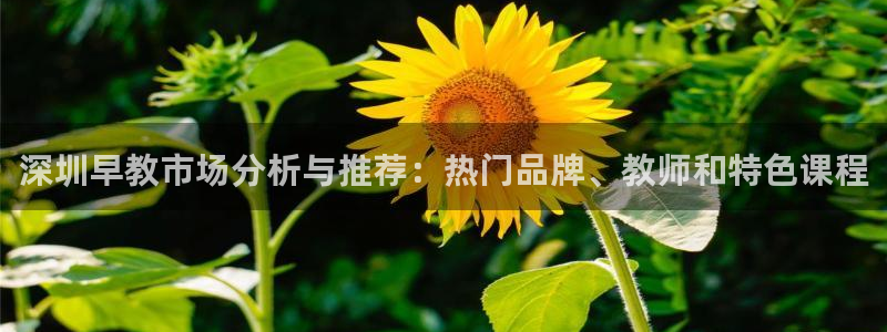 恒在5行中代表什么数字：深圳早教市场分析与推荐：热门品牌、教师和特色课程