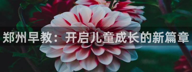 恒行娱乐冯74OOO5：郑州早教：开启儿童成长的新篇章