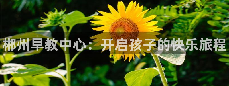 恒行注册全2O5O5O：郴州早教中心：开启孩子的快乐旅程
