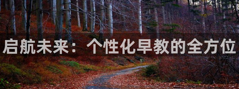 恒行登录老大6ll5l典型：启航未来：个性化早教的全方位