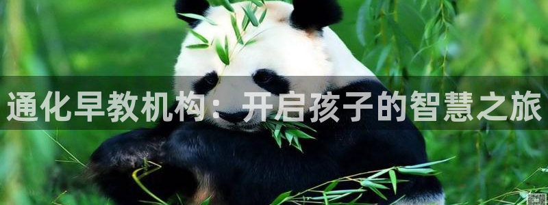 恒行2那74OO5：通化早教机构：开启孩子的智慧之旅