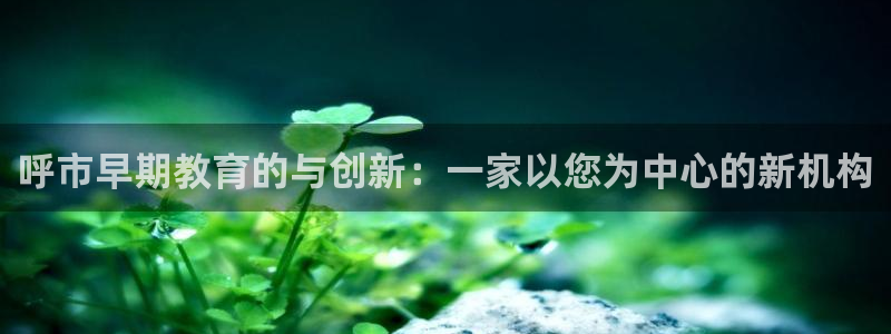 恒行2那74OOO5：呼市早期教育的与创新：一家以您为中心的新机构