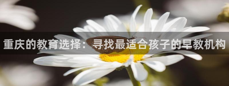 恒行娱乐登录信用 74ooo5：重庆的教育选择：寻找最适合孩子的早教机构
