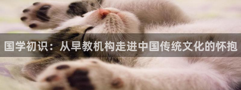 恒行娱乐5ll533主管优雅：国学初识：从早教机构走进中国传统文化的怀抱