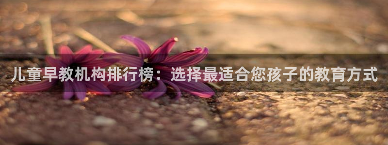 恒行2韩74OOO5：儿童早教机构排行榜：选择最适合您孩子的教育方式