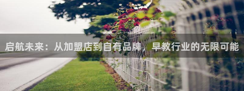 恒行2蒋74OOO5：启航未来：从加盟店到自有品牌，早教行业的无限可能