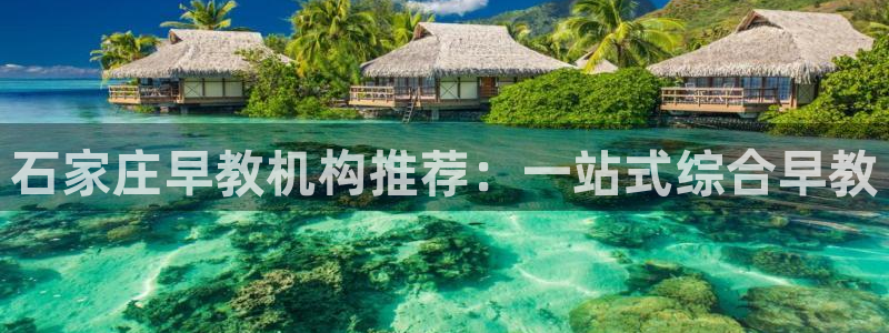 恒行登录就搜6ll5l：石家庄早教机构推荐：一站式综合早教