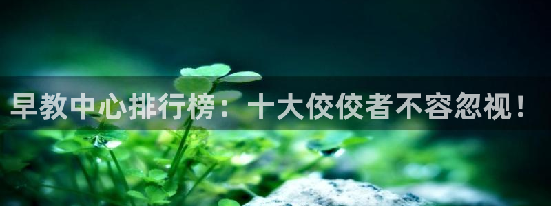 恒行娱乐蜗74ooo5指磁：早教中心排行榜：十大佼佼者不容忽视！