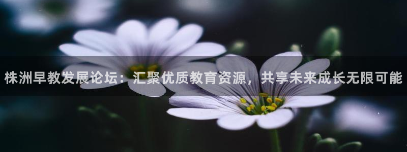 恒行2卫74OOO5：株洲早教发展论坛：汇聚优质教育资源，共享未来成长无限可能