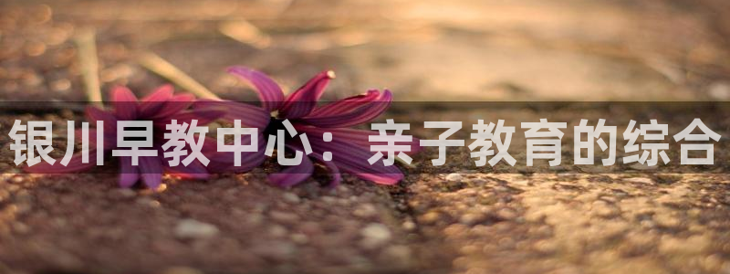 恒行登录老大6ll5l典型：银川早教中心：亲子教育的综合