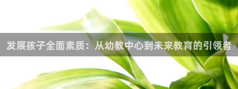 恒行主管首问6ll5l：发展孩子全面素质：从幼教中心到未来教育的引领者
