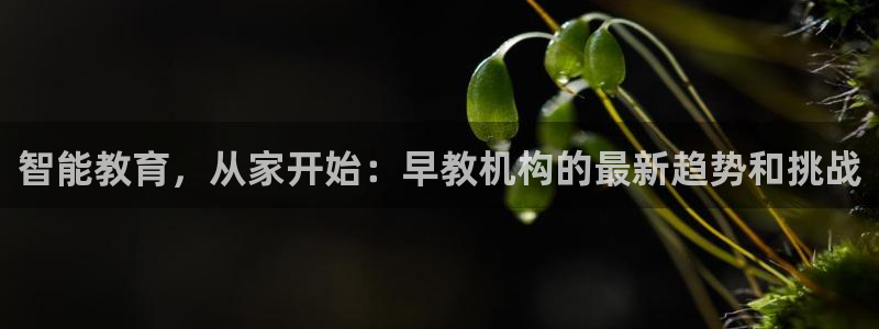 恒行2下74OOO5：智能教育，从家开始：早教机构的最新趋势和挑战