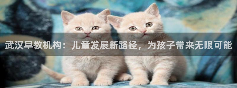 恒行2许74OOO5：武汉早教机构：儿童发展新路径，为孩子带来无限可能