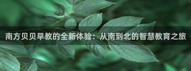 恒行2冯74OOO5：南方贝贝早教的全新体验：从南到北的智慧教育之旅