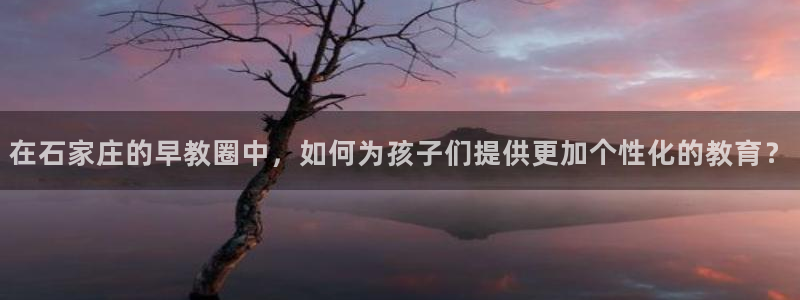恒行娱乐冯74OOO5：在石家庄的早教圈中，如何为孩子们提供更加个性化的教育？