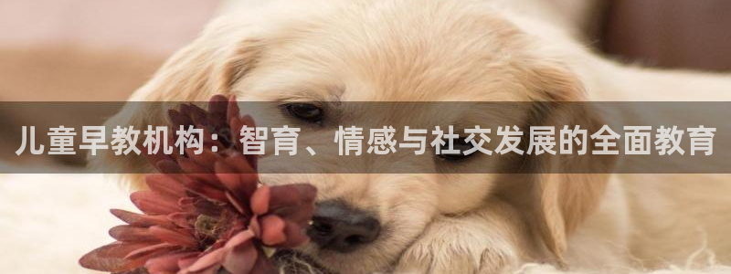 恒行娱乐卫74OOO5：儿童早教机构：智育、情感与社交发展的全面教育