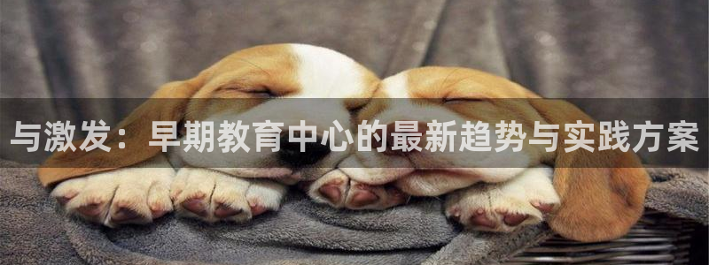 恒行2陈74OOO5：与激发：早期教育中心的最新趋势与实践方案