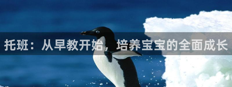 恒行娱乐河沂74ooo5程：托班：从早教开始，培养宝宝的全面成长