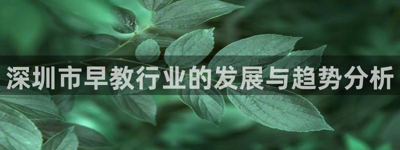 恒行娱乐郑74OOO5：深圳市早教行业的发展与趋势分析