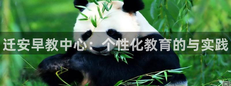 恒行注册全2O5O5O：迁安早教中心：个性化教育的与实践