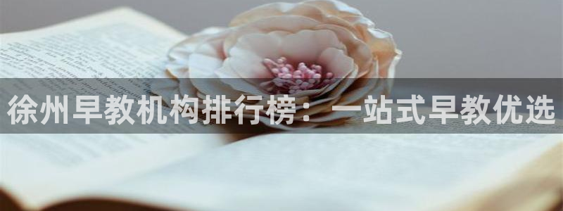 恒行娱乐冯74OOO5：徐州早教机构排行榜：一站式早教优选