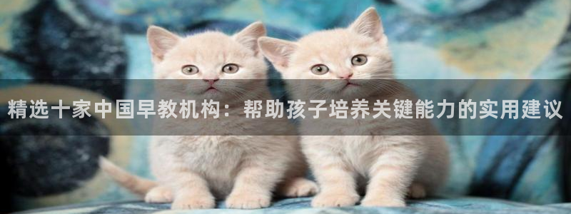 恒行娱乐登录5ll533主管一流：精选十家中国早教机构：帮助孩子培养关键能力的实
