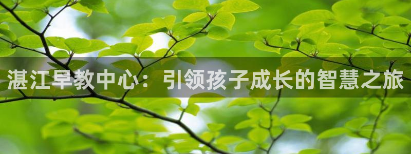 恒行2杨74OOO5：湛江早教中心：引领孩子成长的智慧之旅