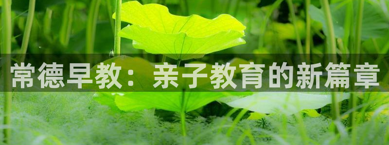 恒行2郑74OOO5：常德早教：亲子教育的新篇章
