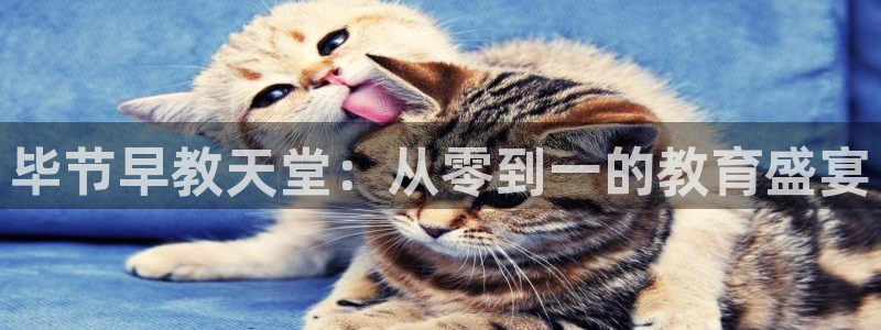 恒行5：毕节早教天堂：从零到一的教育盛宴