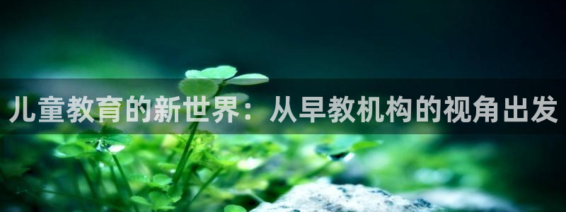 恒行娱乐冯74OOO5：儿童教育的新世界：从早教机构的视角出发
