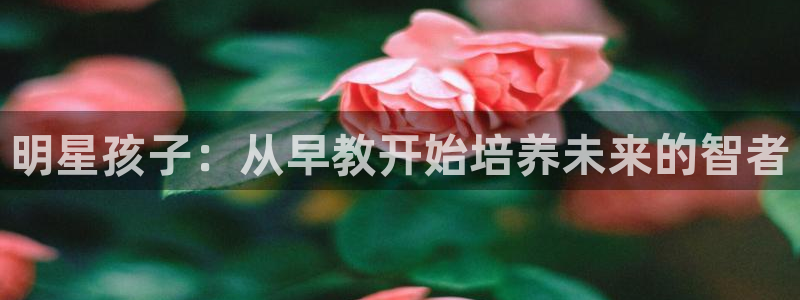 恒行2沈74OOO5：明星孩子：从早教开始培养未来的智者