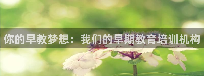 恒行2下74OO5：你的早教梦想：我们的早期教育培训机构