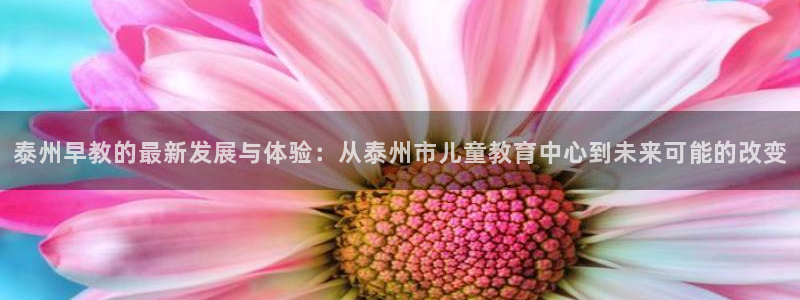 恒行5：泰州早教的最新发展与体验：从泰州市儿童教育中心到未来可能的改变